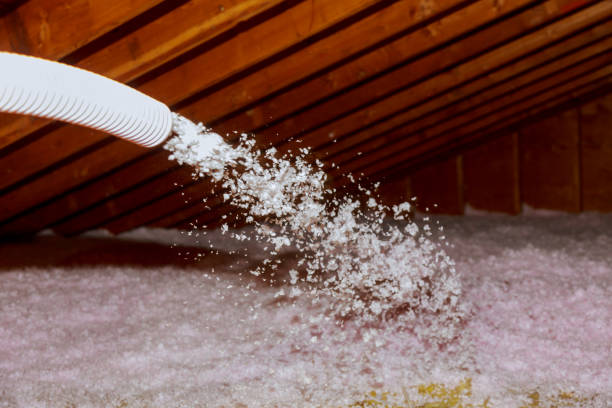 Best Residential Insulation in Mayodan, NC